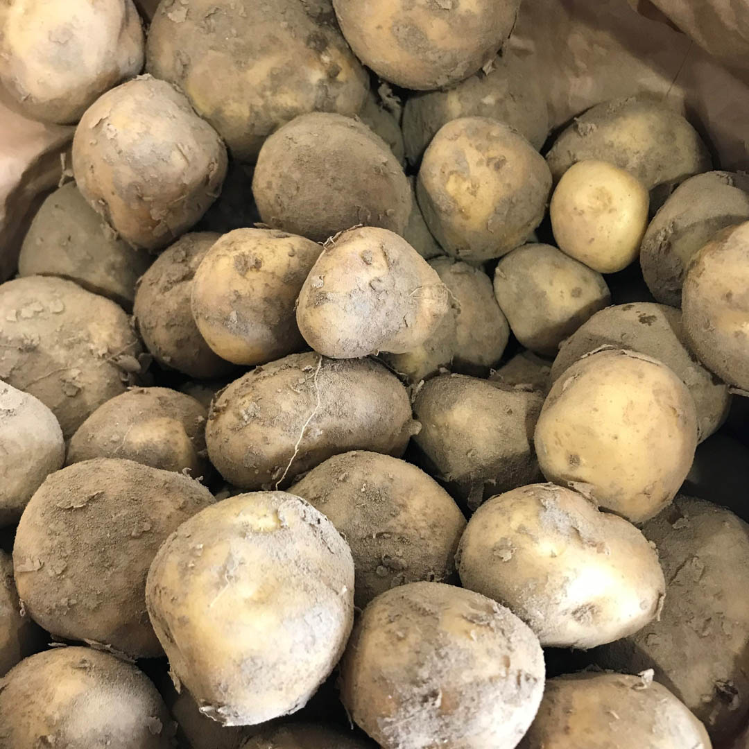 Potatoes *NEW SEASON* Cornish (New Potatoes 1kg £2.00) Farmers Fayre