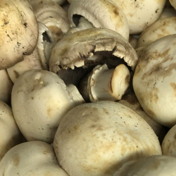 Cup Mushrooms 250g