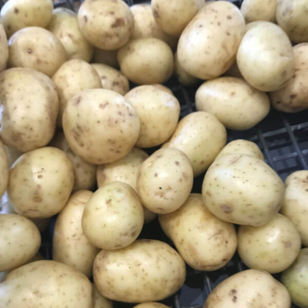 Potatoes New Washed 1kg