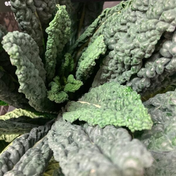 Black Kale/Cavolo Nero Price Per Head