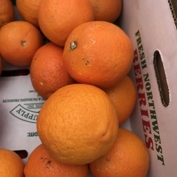 Seville Oranges (homemade Marmalade!) 1kg