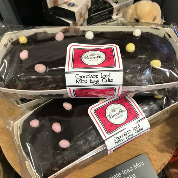 Chocolate Iced Mini Egg Cake