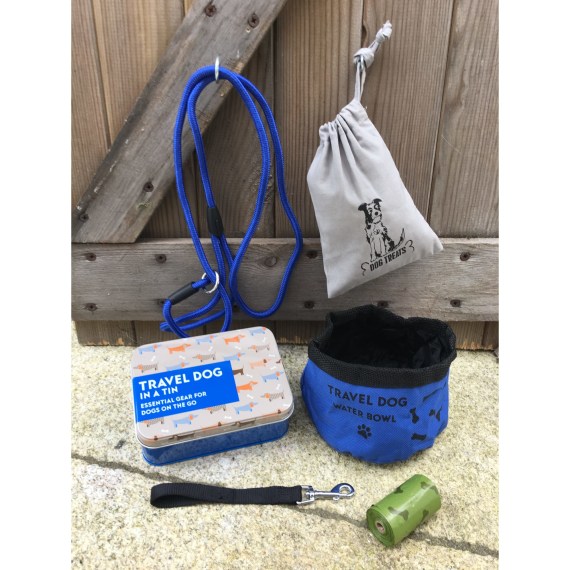 Travel Dog in a Tin Farmers Fayre