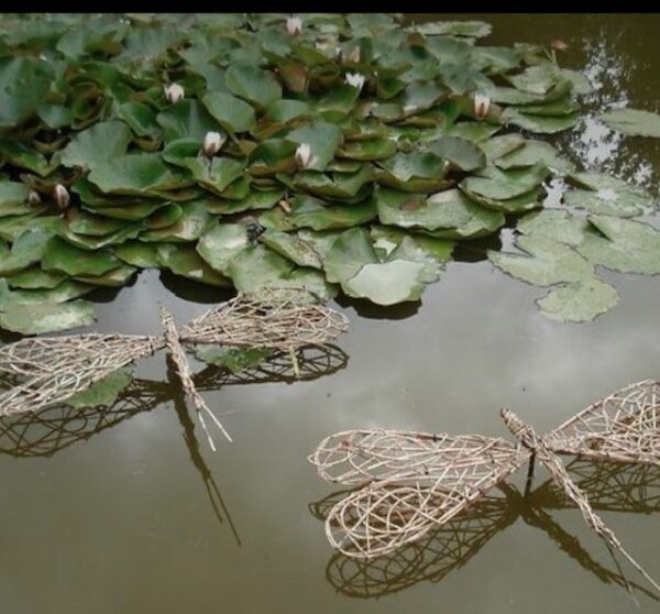 Willow Workshop - Saturday 29th April 10am till 1pm - Image 3