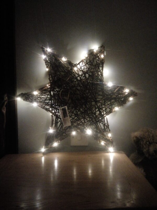 Willow Workshop - Saturday 29th April 10am till 1pm